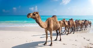 Voyage au cœur du patrimoine, 